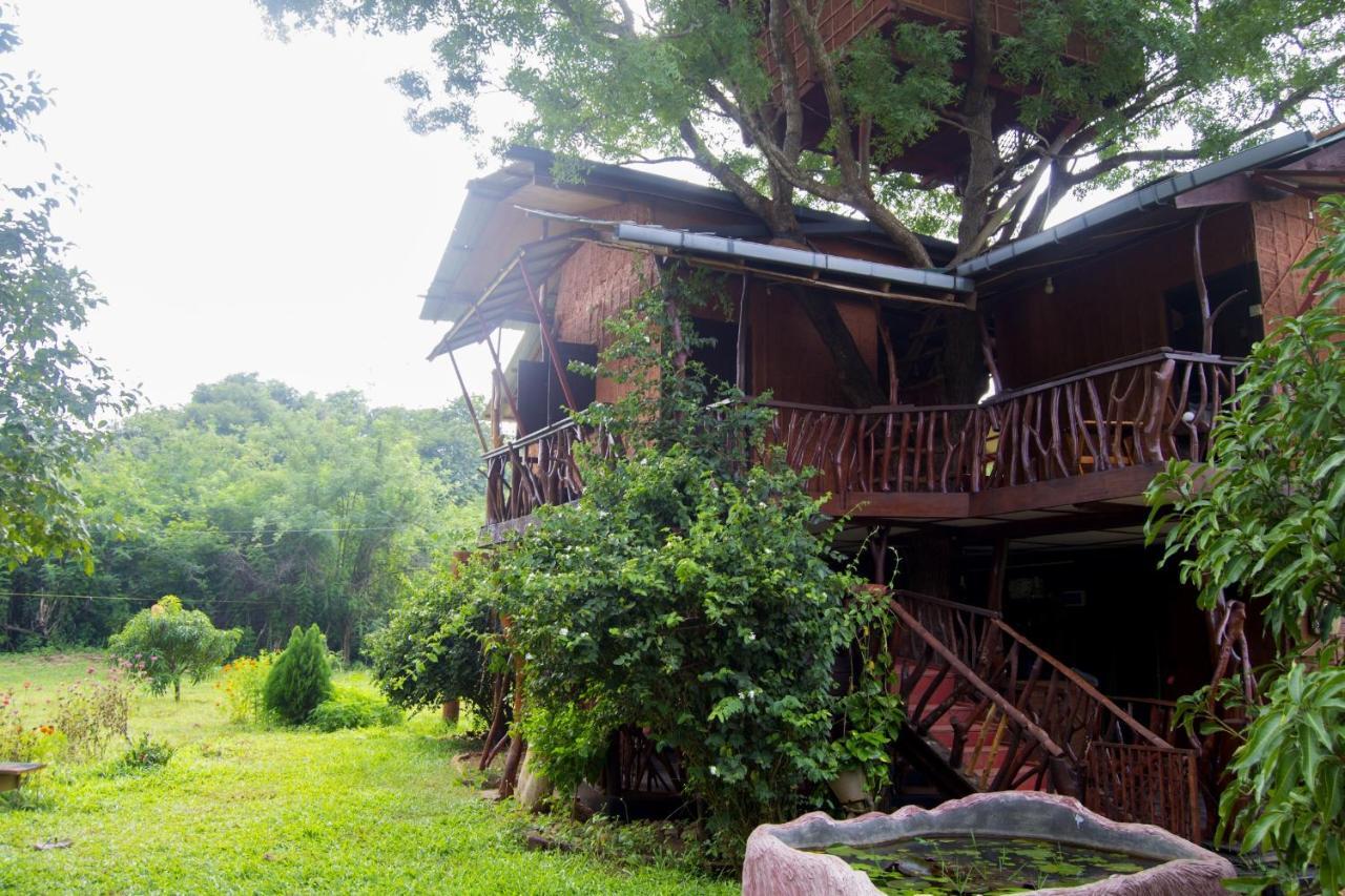 Вилла Anushka Nera Nature House *