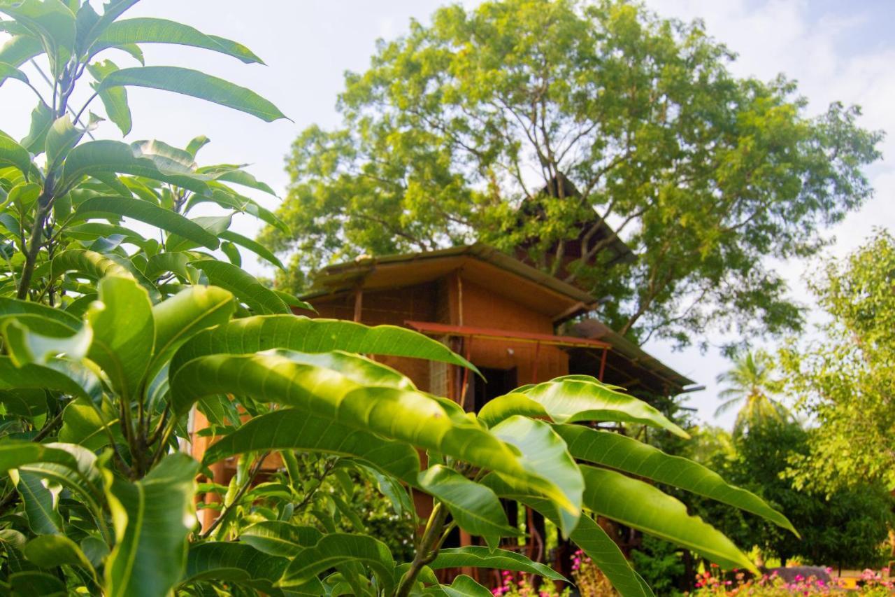 Anushka Nera Nature House Сигирия
