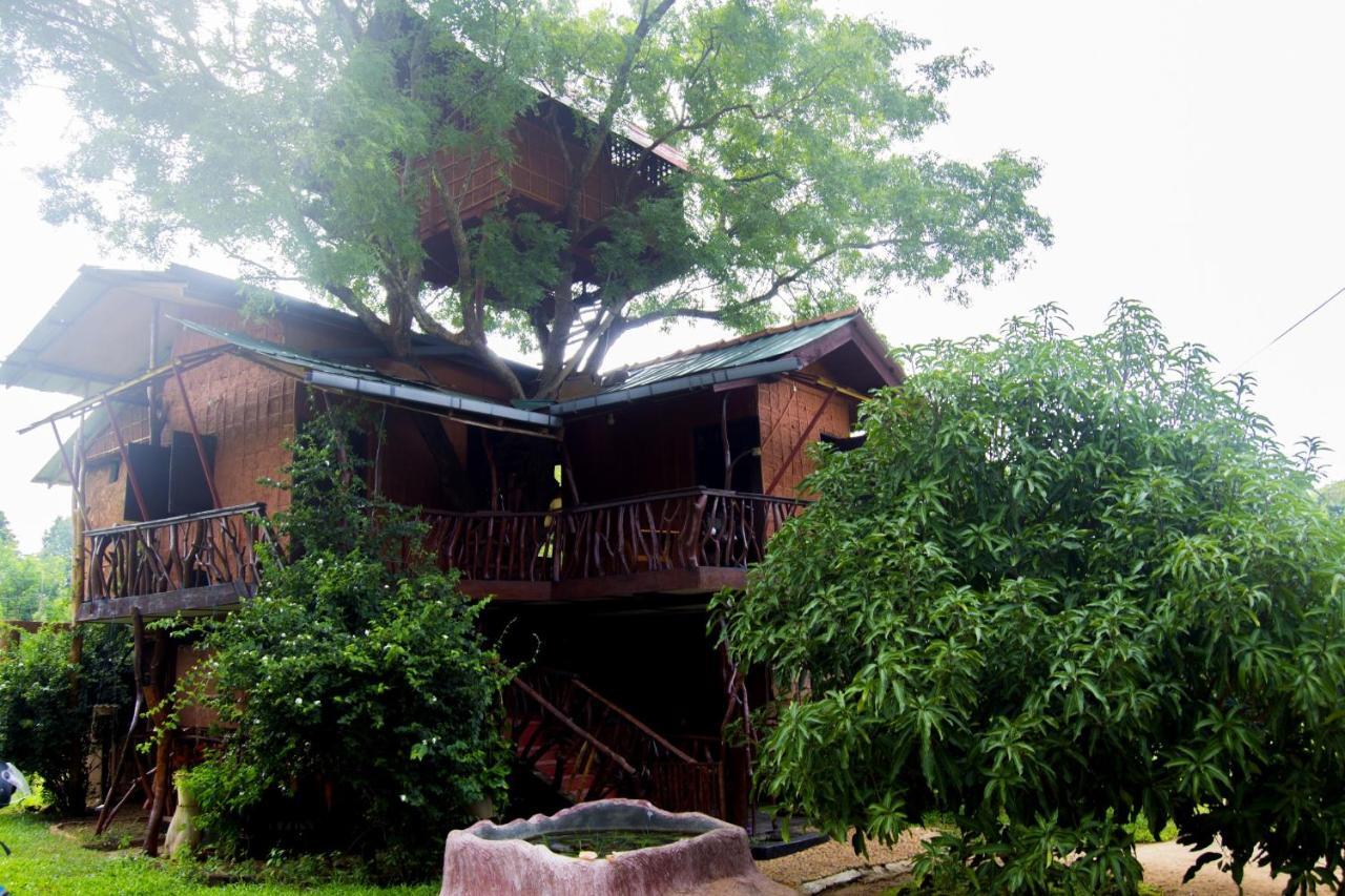 Вилла Anushka Nera Nature House Сигирия